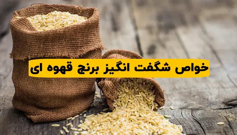 خواص برنج قهوه‌ ای