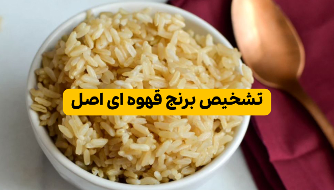 تشخیص برنج قهوه ای اصل