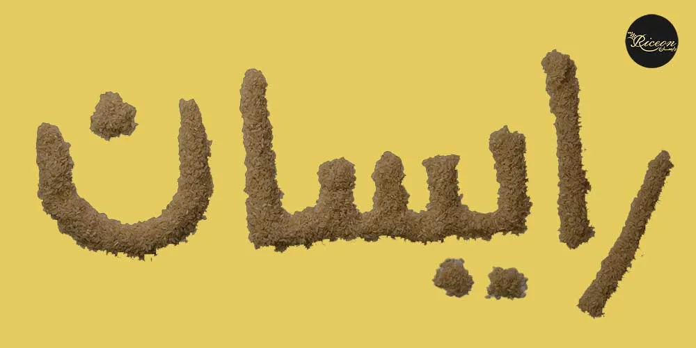 تشخیص برنج کامفیروزی اصل