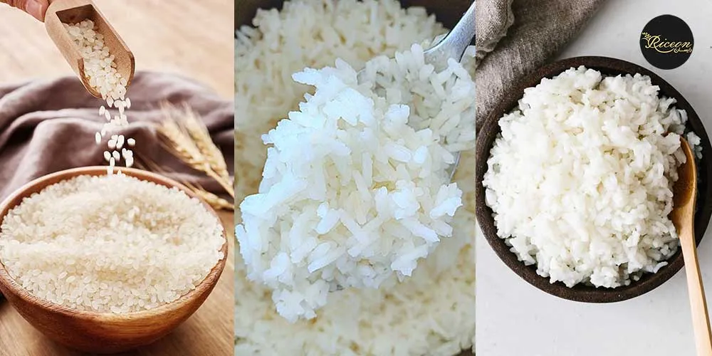 طرز پخت برنج كامفيروزی