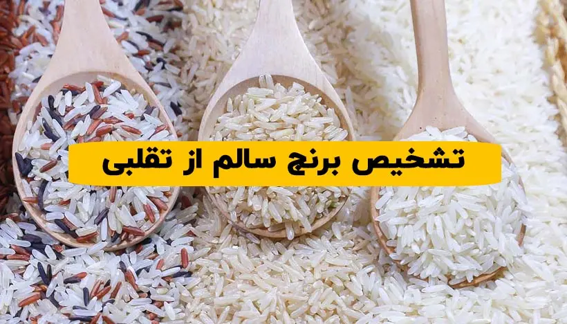تشخیص برنج سالم از تقلبی