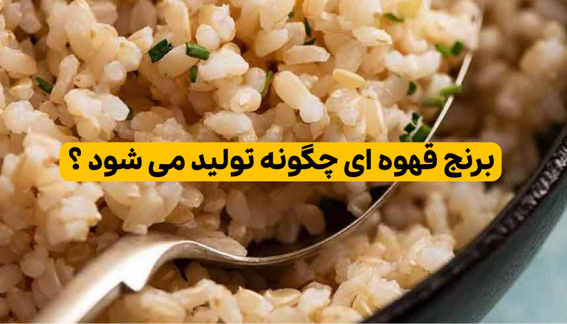 تولید برنج قهوه ای