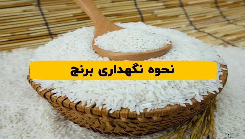 نحوه نگهداری برنج