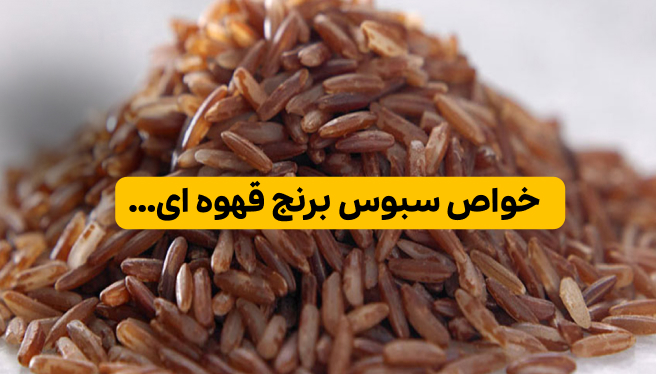 خواص سبوس برنج قهوه ای
