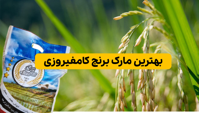 بهترین مارک برنج کامفیروزی