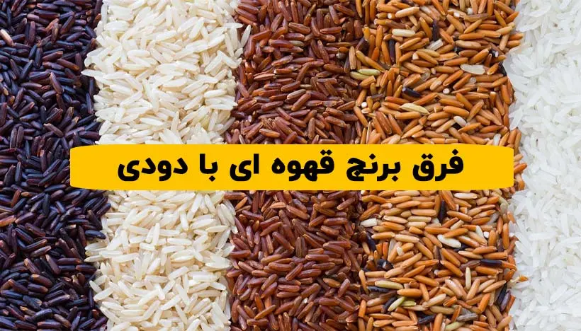 برنج قهوه ای با دودی
