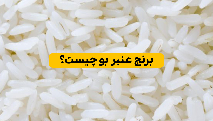 برنج عنبر بو چیست؟