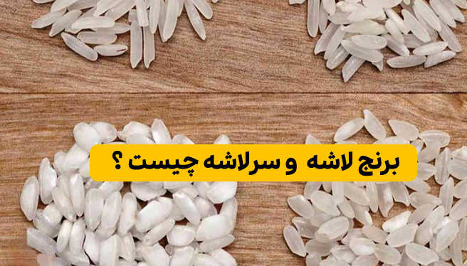برنج لاشه و سرلاشه چیست؟