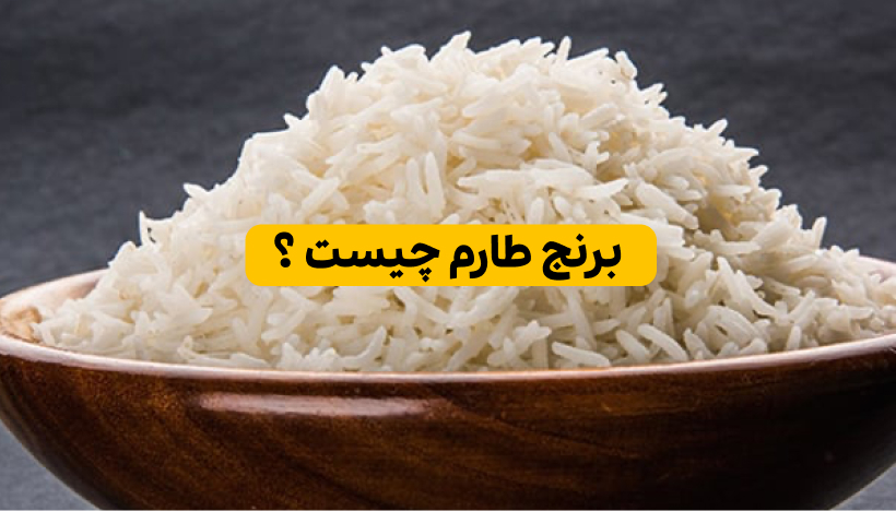 برنج طارم چیست؟