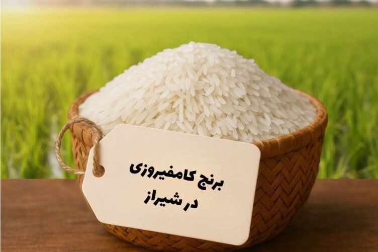 خرید برنج کامفیروزی در شیراز
