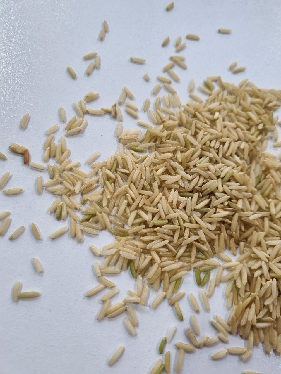 برنج قهوه ای ارگانیک طارم هاشمی - 5 کیلوگرم