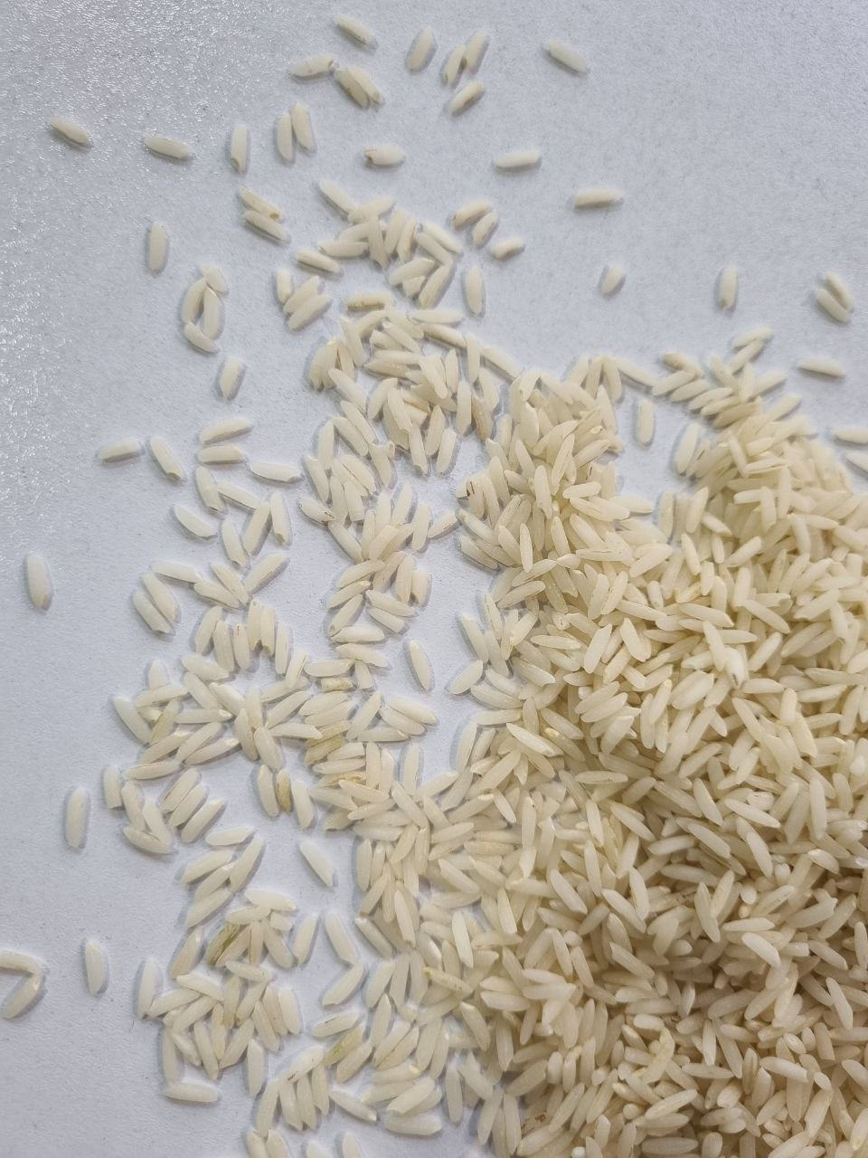 برنج ارگانیک طارم هاشمی فریدونکنار - 5 کیلوگرم