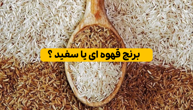 برنج سفید بهتر است یا برنج قهوه ای