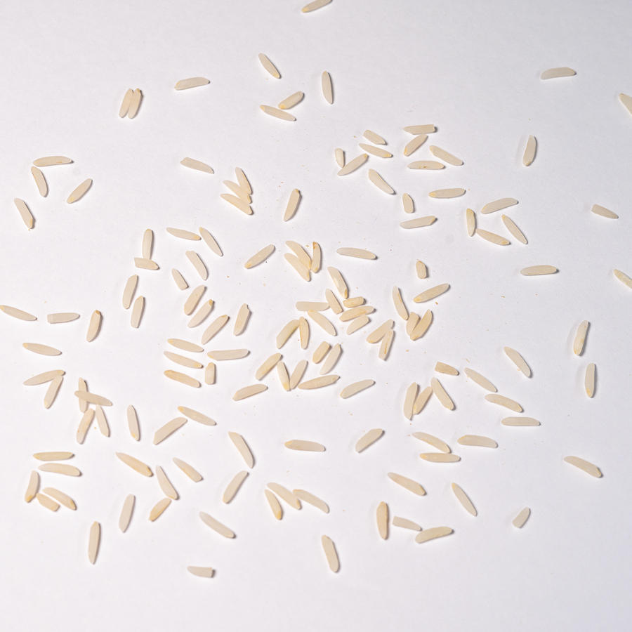 برنج فجر استخوانی مجلسی - ۱۰ کیلوگرم