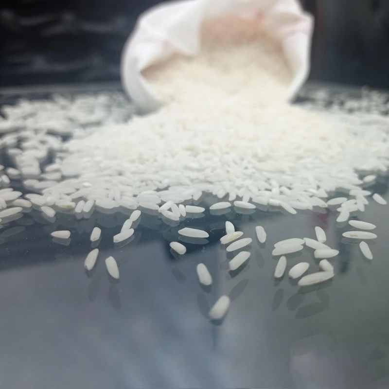 برنج شیرودی کشت امسال مجلسی اسبق - 10 کیلوگرم