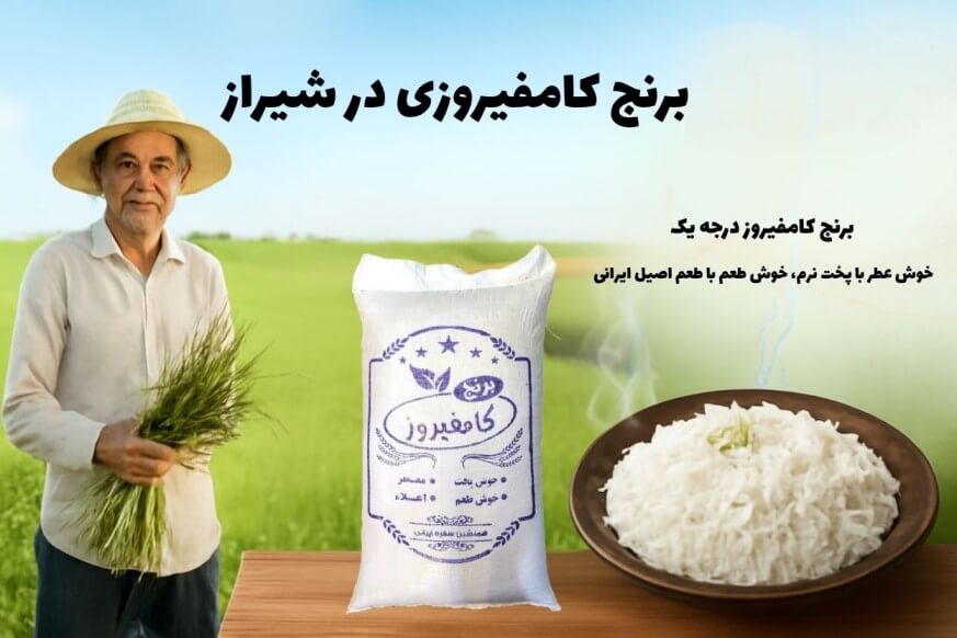 برنج کامفیروزی در شیراز