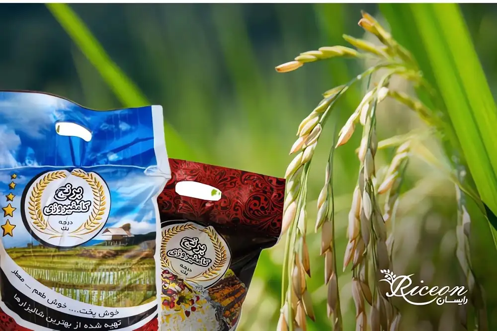 بهترین مارک برنج کامیفروزی